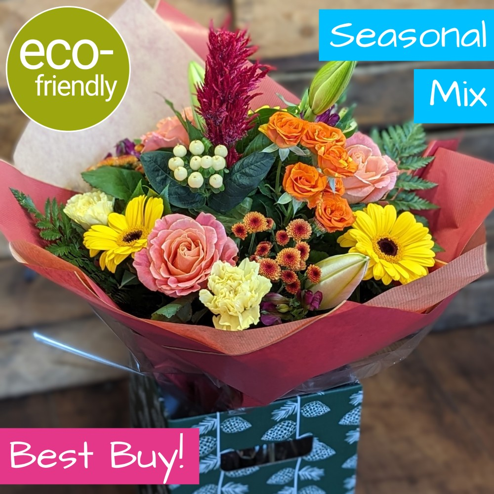 Autumnal Whispers Autumnal Whispers