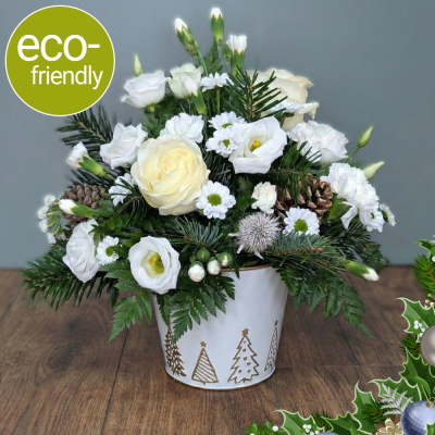 Starry Night Festive Arrangement | Floral Box Darlington - A sophisticated Christmas arrangement of white blooms, presented in an elegant white and gold tree-patterned pot. Hand-crafted by Darlington's trusted florists.