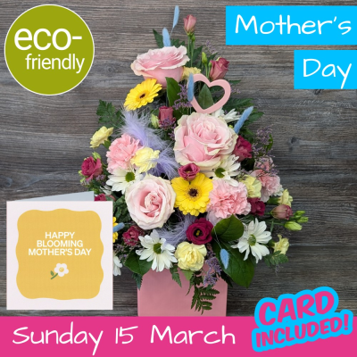 Botanical Pastel Boxed Arrangement | The Floral Box Darlington - A beautifully traditional florist choice boxed arrangement featuring premium pastels and dried botanicals. Hand-delivered in Darlington. Established 1986.