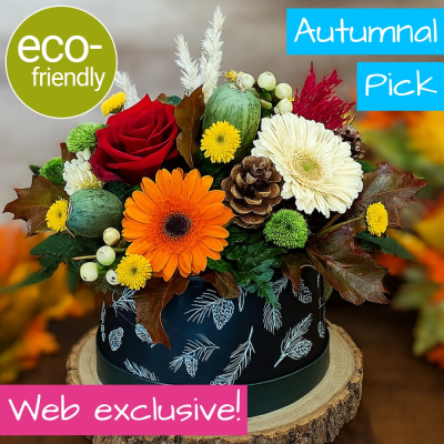 Eco-Friendly Autumnal Hat Box | The Floral Box | Cockerton - Get the best value with our Florist Choice Autumnal Hat Box. A unique, eco-friendly design in an FSC-certified box. Web Exclusive. Same-day delivery in Darlington.