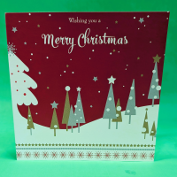 Christmas Card | Christmas Gift | The Floral Box Darlington - We'll add your special message to this Christmas card and place it into an envelope to go with your gift. The card is 15cm x 15cm. Local Florist in Darlington